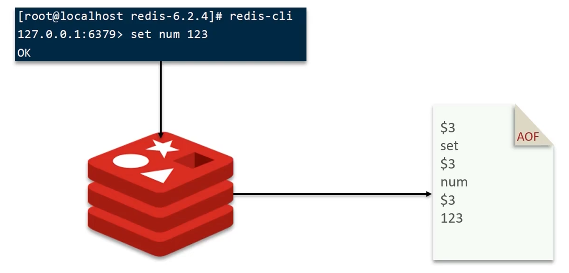 image-20240511143306793