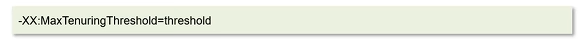 image-20240519194904457