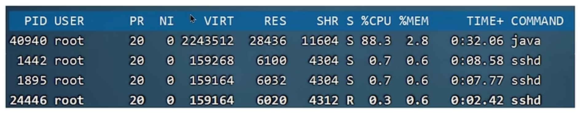 image-20240519203440515