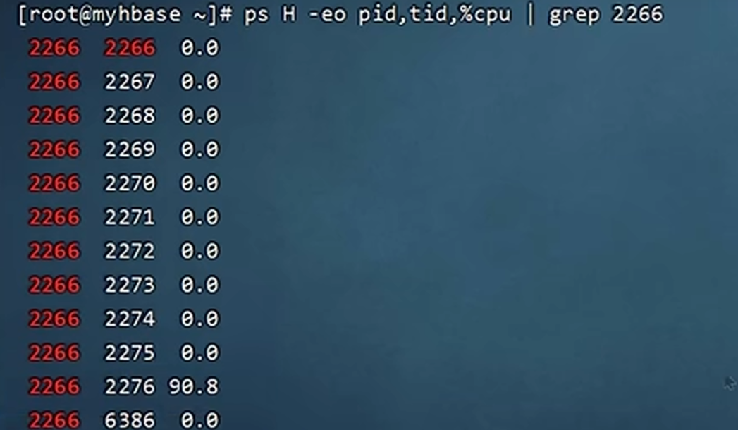 image-20240519204034127