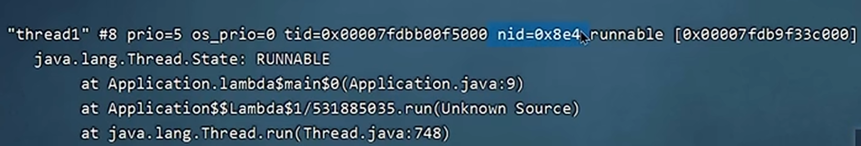 image-20240519204242854